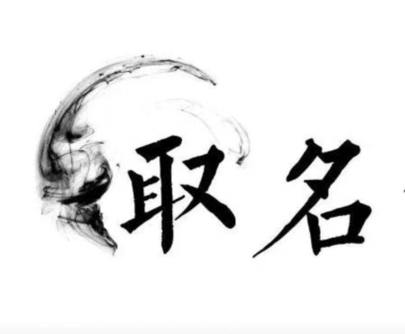  泰顺宝宝取名 大师一对一人工起名